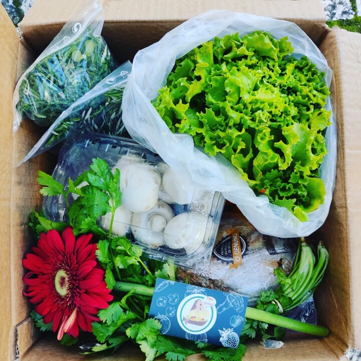 587298186_18513980971066958_4578862310100074106_n.