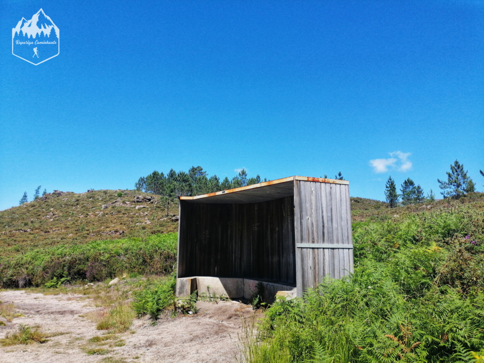 Photo_1598340920273.jpg Photo_1598340920273.jpg