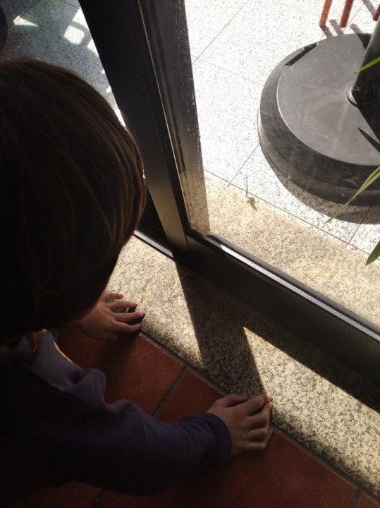 não_me_canso_disto_lagartixa1.jpg não_me_canso_disto_lagartixa1.jpg