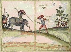 Almirante Coutinho.jpg