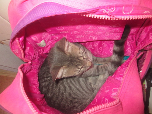 IMG_2893.JPG IMG_2893.JPG