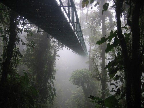 clouds-canopy-bridge-monteverde-costa-rica-500x375