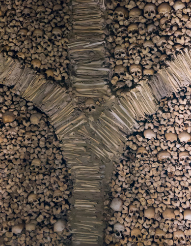 DSC00727.jpg DSC00727.jpg