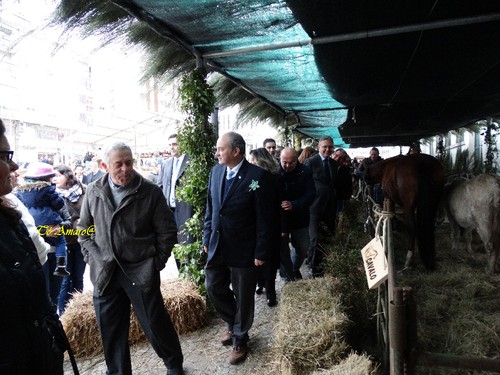 Feira do Queijo Em Seia !!! 280.jpg