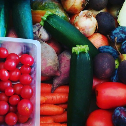 41804360_1206958982777194_498574861875019776_n.jpg 41804360_1206958982777194_498574861875019776_n.jpg