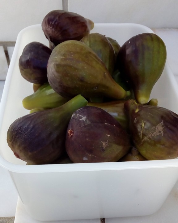 IMG_20200621_121357.jpg IMG_20200621_121357.jpg