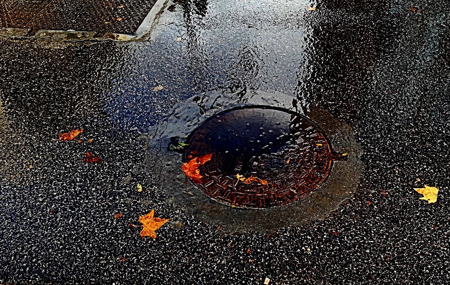 Depressão chamada Dora.jpg