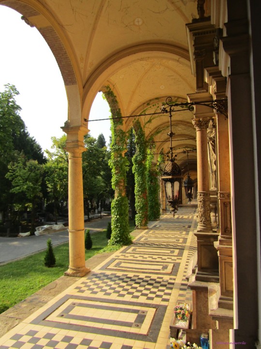 Croácia 2018 600.JPG