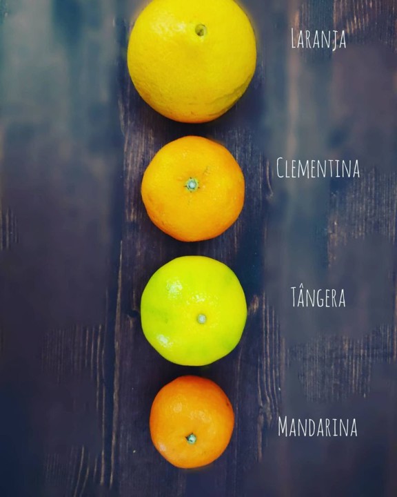 122467206_1849609338512152_277331804728352170_o.jp