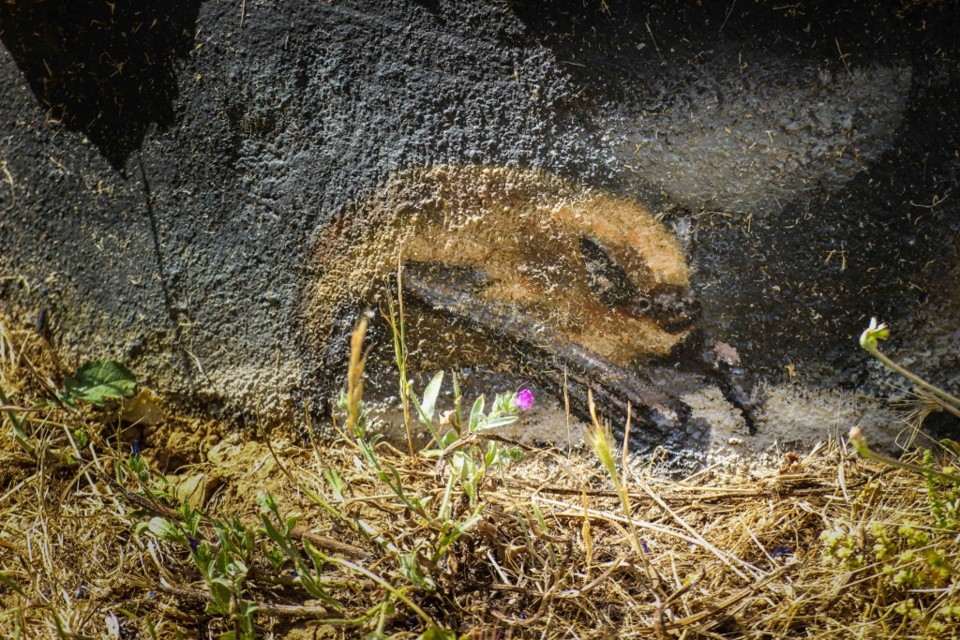 trilho-1-3 (1024x683).jpg