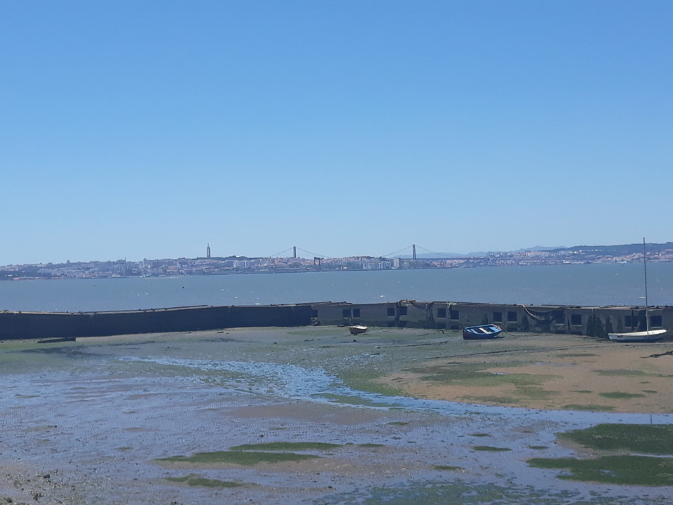 20190525_143302.jpg 20190525_143302.jpg