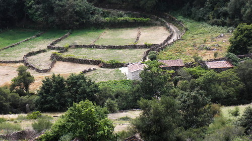 bordença.jpeg bordença.jpeg