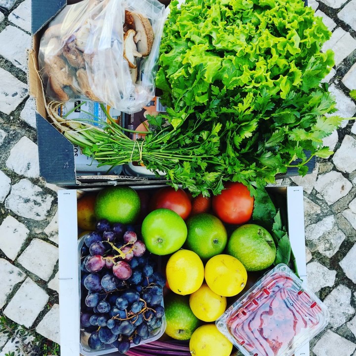 120240201_1826296624176757_7167121779913414209_o.j