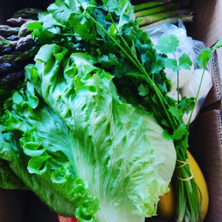 339850456_5661367557302156_2811586025232829848_n.j