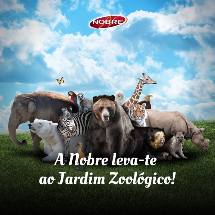 61014723_2402532763326451_1405932637830250496_n.jp