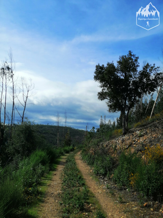 Photo_1584303020391.jpg Photo_1584303020391.jpg