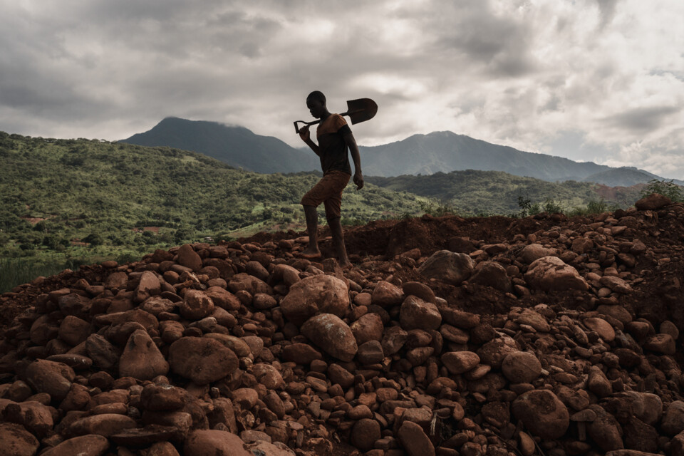 © Ricardo Lopes.JPG