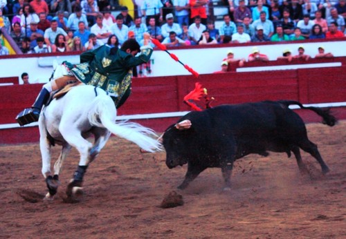 Moura Junior e um dos últimos ferros com o cavalo Belmontim...