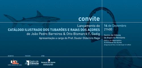 Tubarões e raias dos Açores em registo...