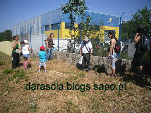 caminho_romano_arouca_08.JPG caminho_romano_arouca_08.JPG