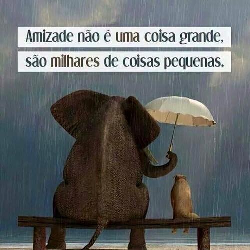 amizade.jpg