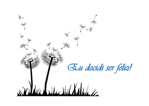 decidi ser feliz.png