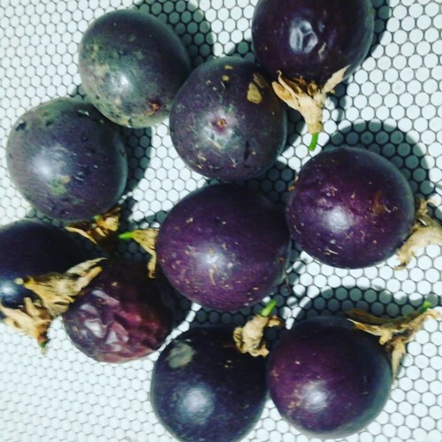 40523046_1199156800224079_313385892230201344_n.jpg 40523046_1199156800224079_313385892230201344_n.jpg