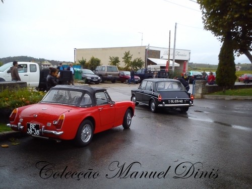 Rota do Moscatel Favaios 2015 (217).jpg