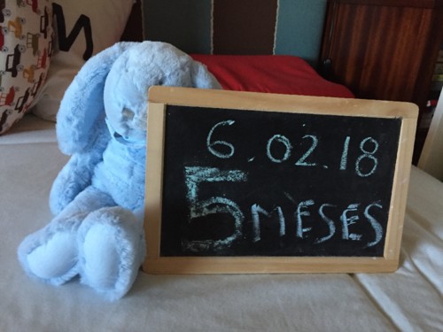 IMG_9411.JPG IMG_9411.JPG