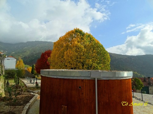 Fotos de Outono !!! 011.jpg