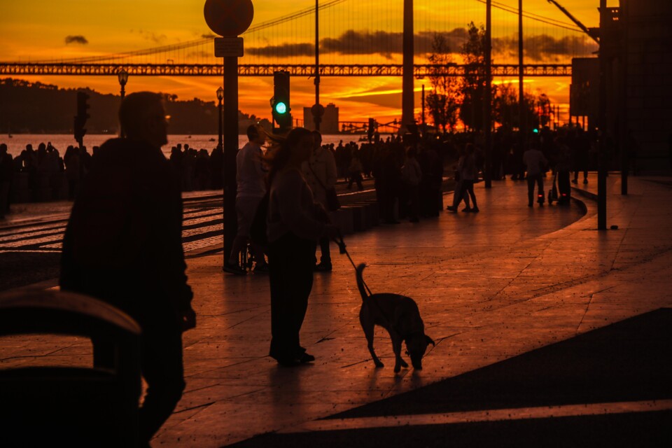 por do sol lisboa 5.jpg