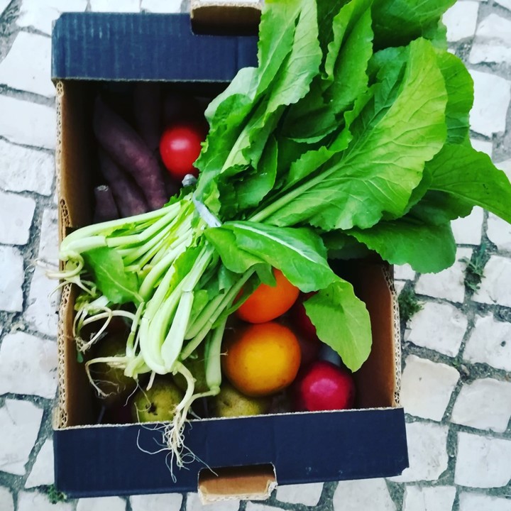 72427548_1486216571518099_1555962300815376384_n.jp 72427548_1486216571518099_1555962300815376384_n.jp