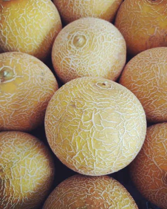 279009817_2291778147628600_5109190371109399958_n.j