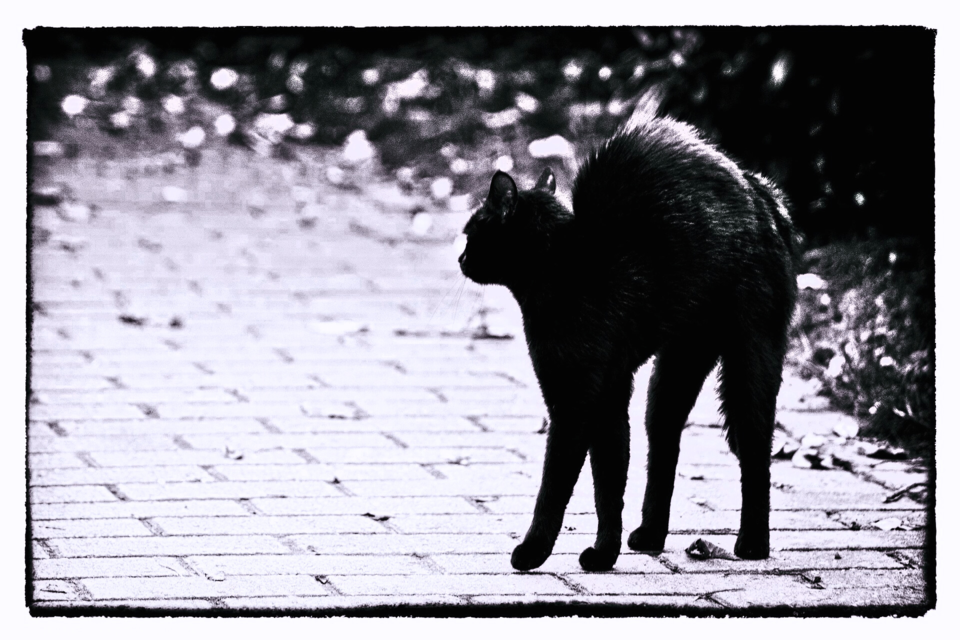 Design sem nome - 2025-11-19T110908.164.png