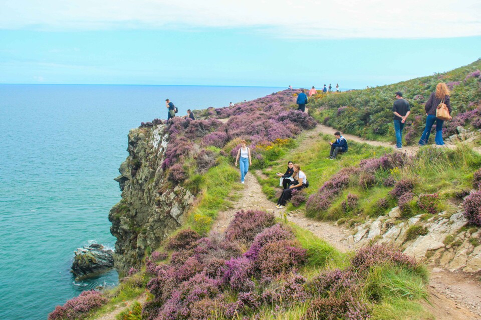 howth cliff walk 1.jpg