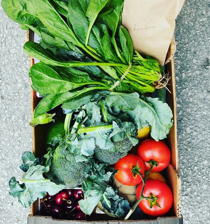 350302914_1459703631232166_7027655958895989276_n.j