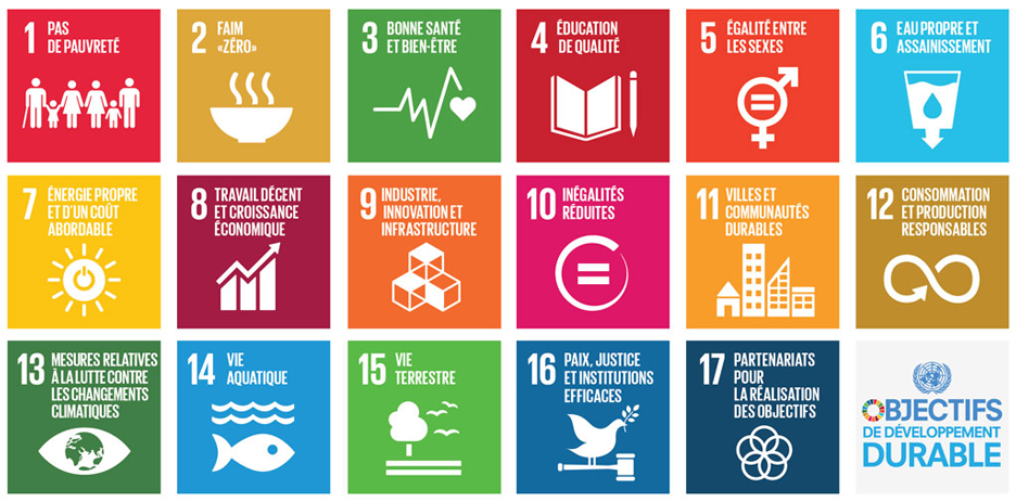 sdgs-poster-fr.png sdgs-poster-fr.png