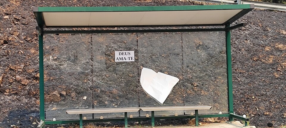 Paragem queimada.jpg
