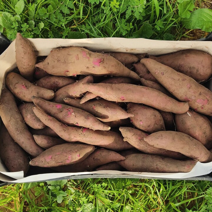 465891207_18444037858066958_6304918237139899547_n.