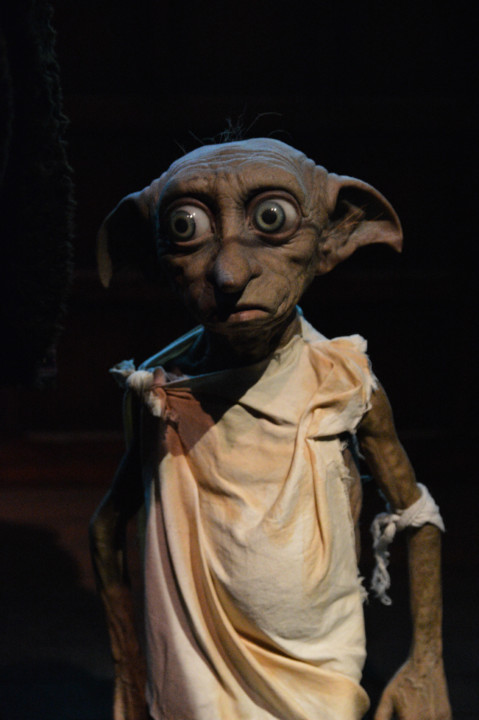 ExpHarryPotter_Mar2020-75.jpg ExpHarryPotter_Mar2020-75.jpg