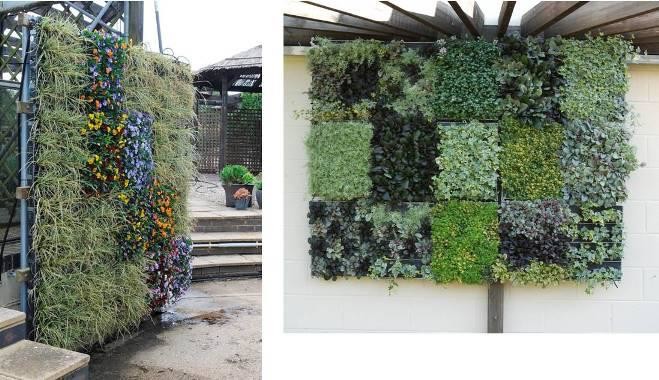 jardins verticais.jpg