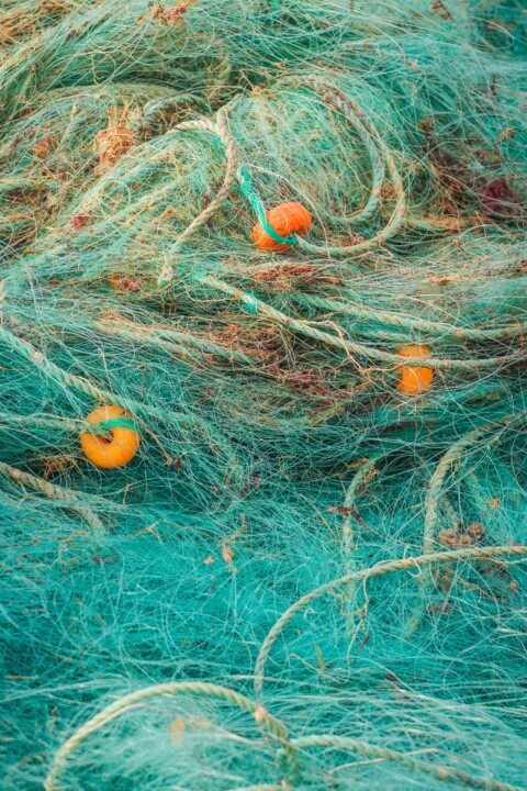 ericeira porto 3.jpg