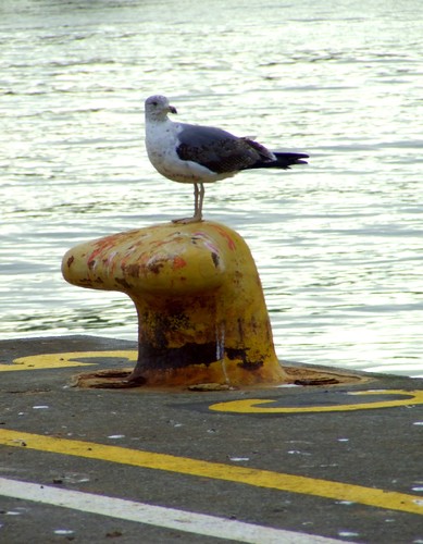 DSCF3176.JPG