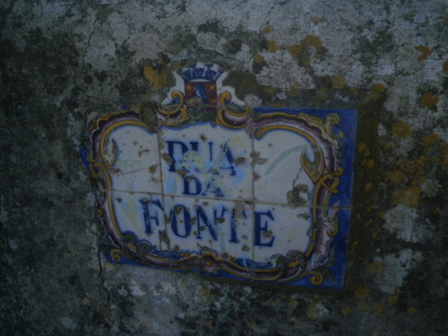 P7226567.JPG P7226567.JPG