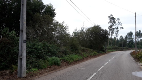 Valongo limpeza de Valetas no Sobreiro2.jpg