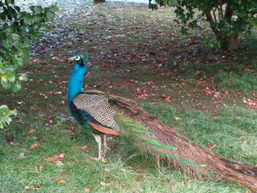 DSC01166.JPG DSC01166.JPG