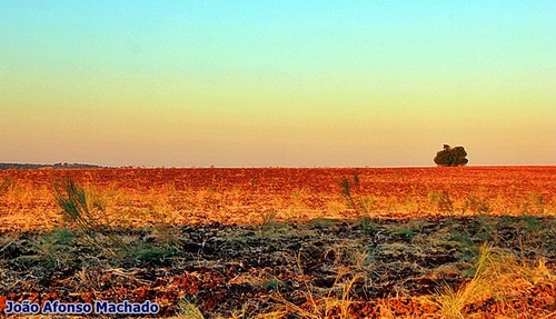 SOLOS DIFERENTES.JPG