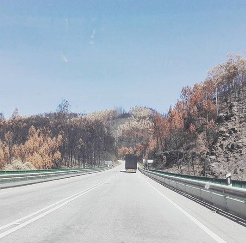 IMG_2223.jpg IMG_2223.jpg