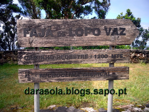 azores_flores_faja_lopo_Vaz_05.JPG azores_flores_faja_lopo_Vaz_05.JPG