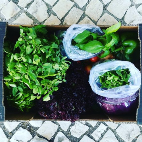 36594195_1132778903528536_1847463921628217344_n.jp